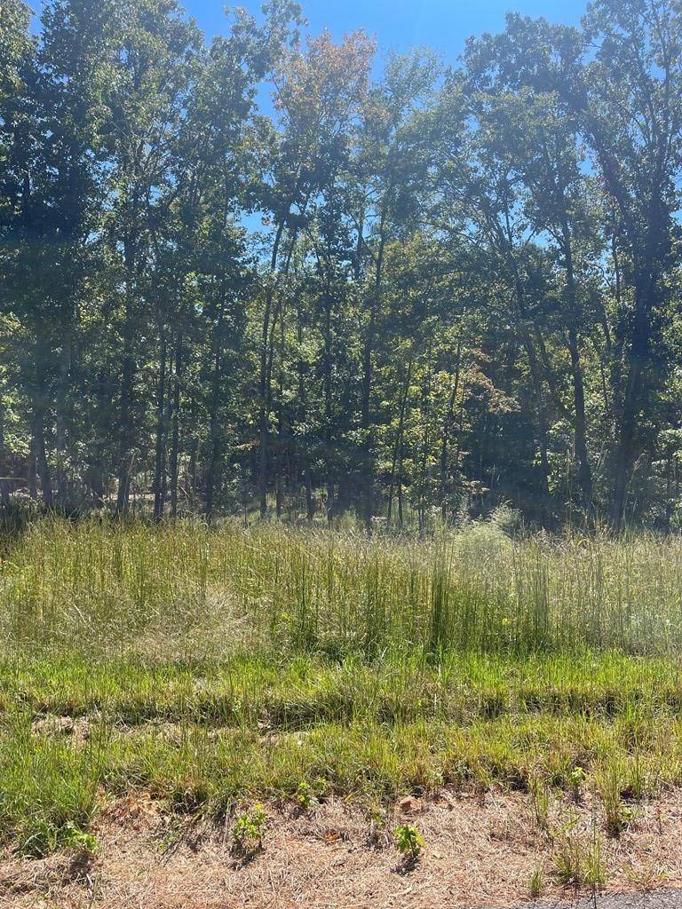 Huntingdon, TN 38344,0 LakePoint Dr
