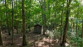 Stewart, TN 37175,63 Charlsie Ln