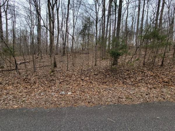 0 Dogwood Ct, Dickson, TN 37055