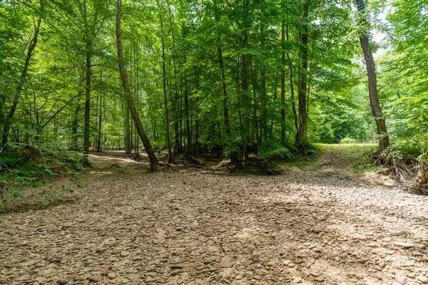 Crawford, TN 38554,0 Steel Tram Ridge Ln