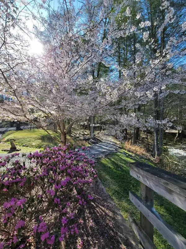 Dunlap, TN 37327,0 Tall Tree