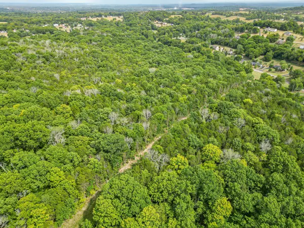 Spring Hill, TN 37174,0 Cliff Amos Road N of TN