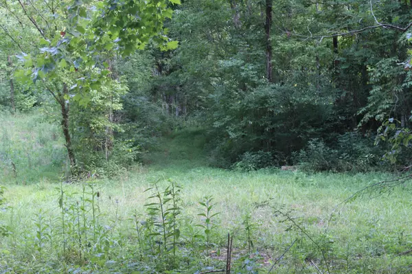 Bethpage, TN 37022,0 Patch Lane