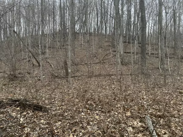 Bethpage, TN 37022,0 Patch Lane