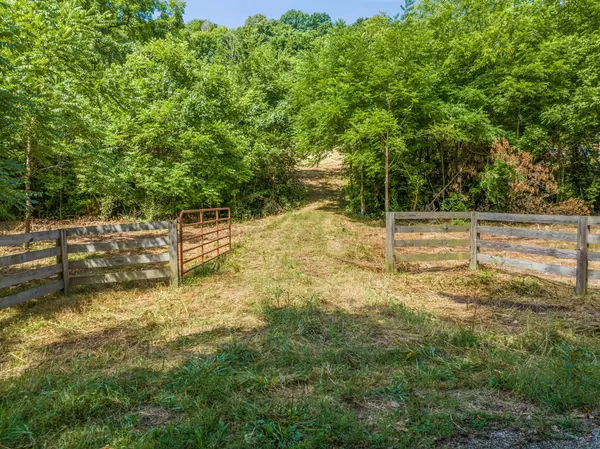 0 Rabbit Trail Rd, Lynnville, TN 38472