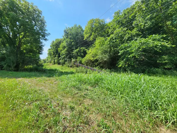 78 ac Baugh Hollow Rd, Gainesboro, TN 38562