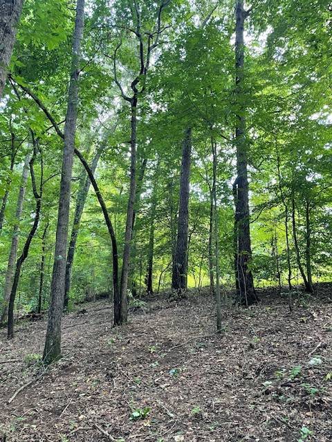 Mcminnville, TN 37110,822 Myers Cove Rd