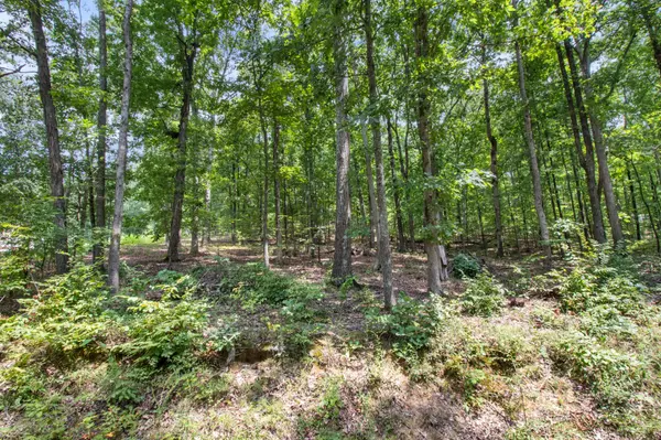 Dover, TN 37058,0 Eagle Shore Dr