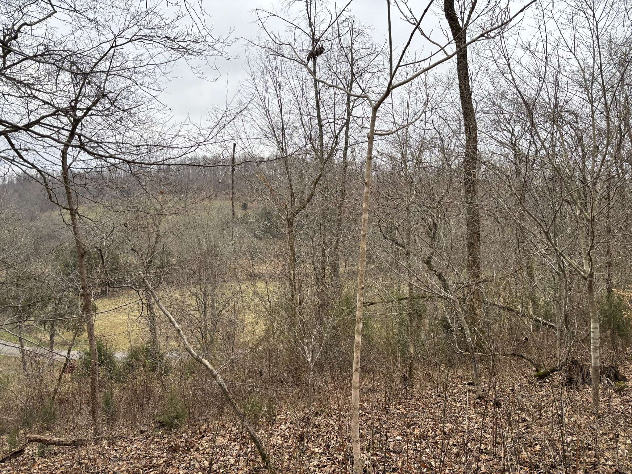 Frankewing, TN 38459,0 Cathcart Rd