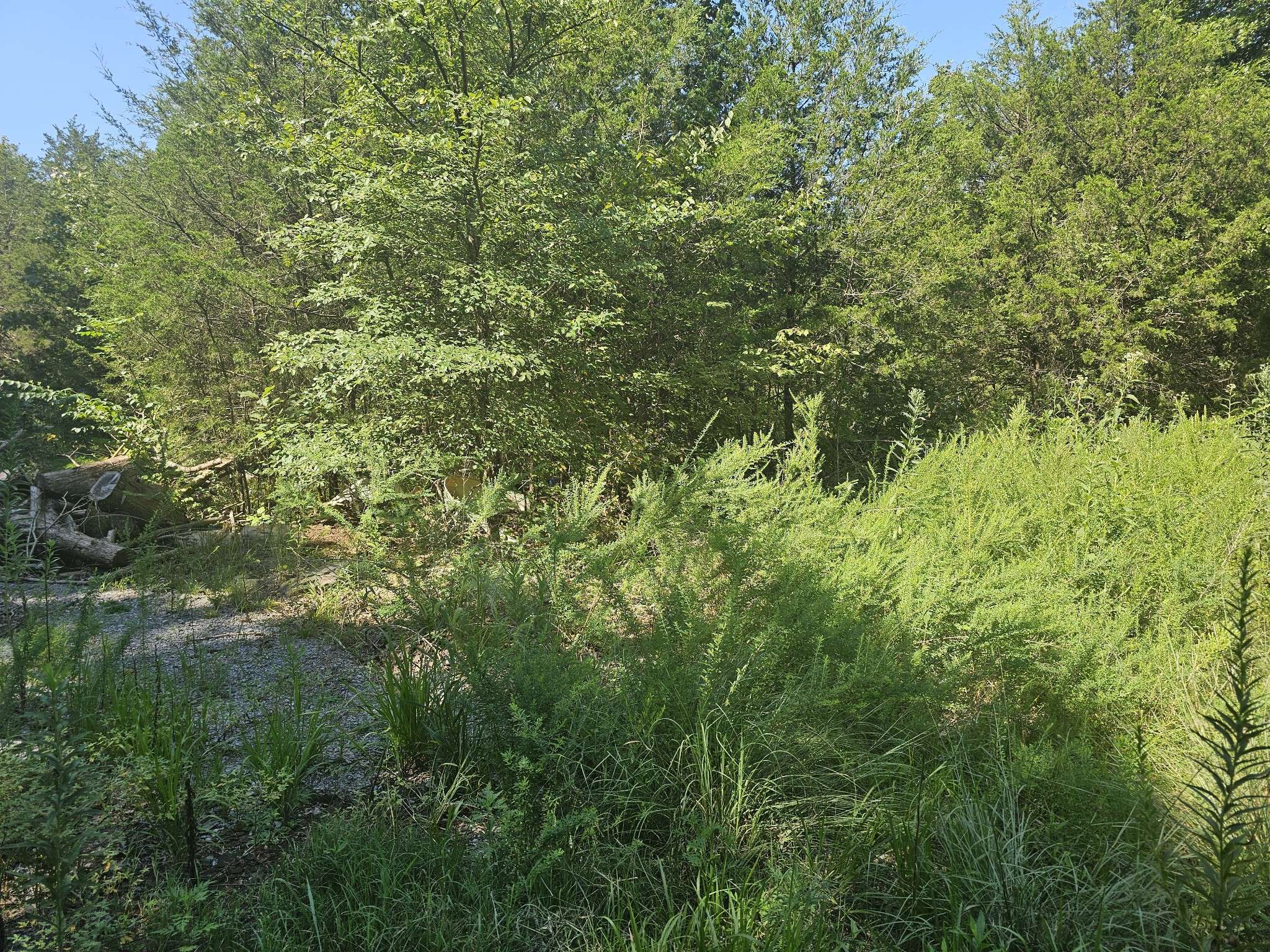 Mount Juliet, TN 37122,0 Underwood Rd