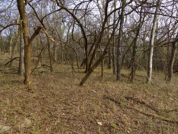 Pulaski, TN 38478,958 dollar hollow road