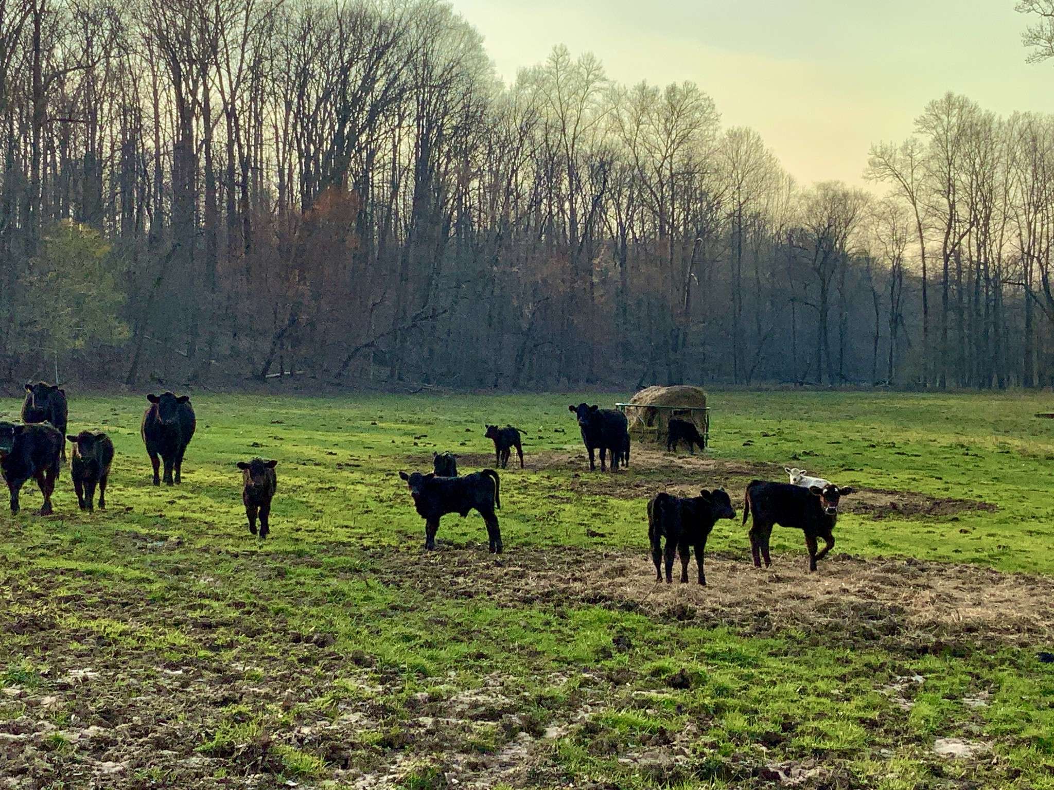 Savannah, TN 38372,0 Hwy 69