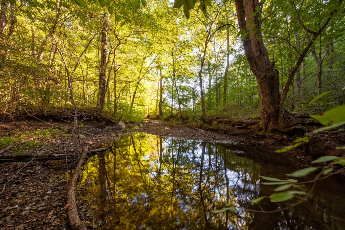 Spring Hill, TN 37174,0 Sugar Ridge Rd