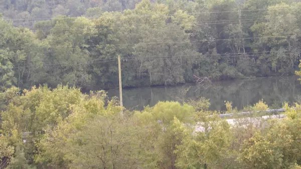 Whitleyville, TN 38588,150 Dycus Landing Lane