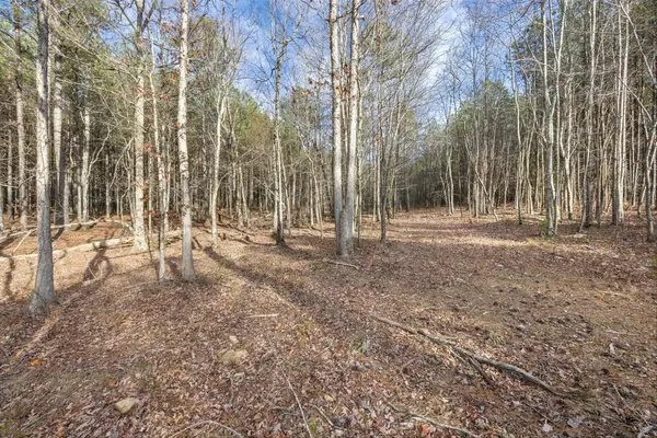 Jasper, TN 37347,0 Raulston Falls Road