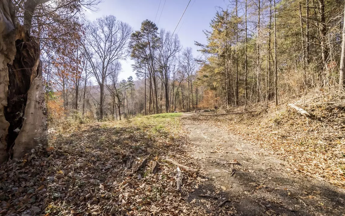 Flintstone, GA 30725,1095 Powder Springs Circle