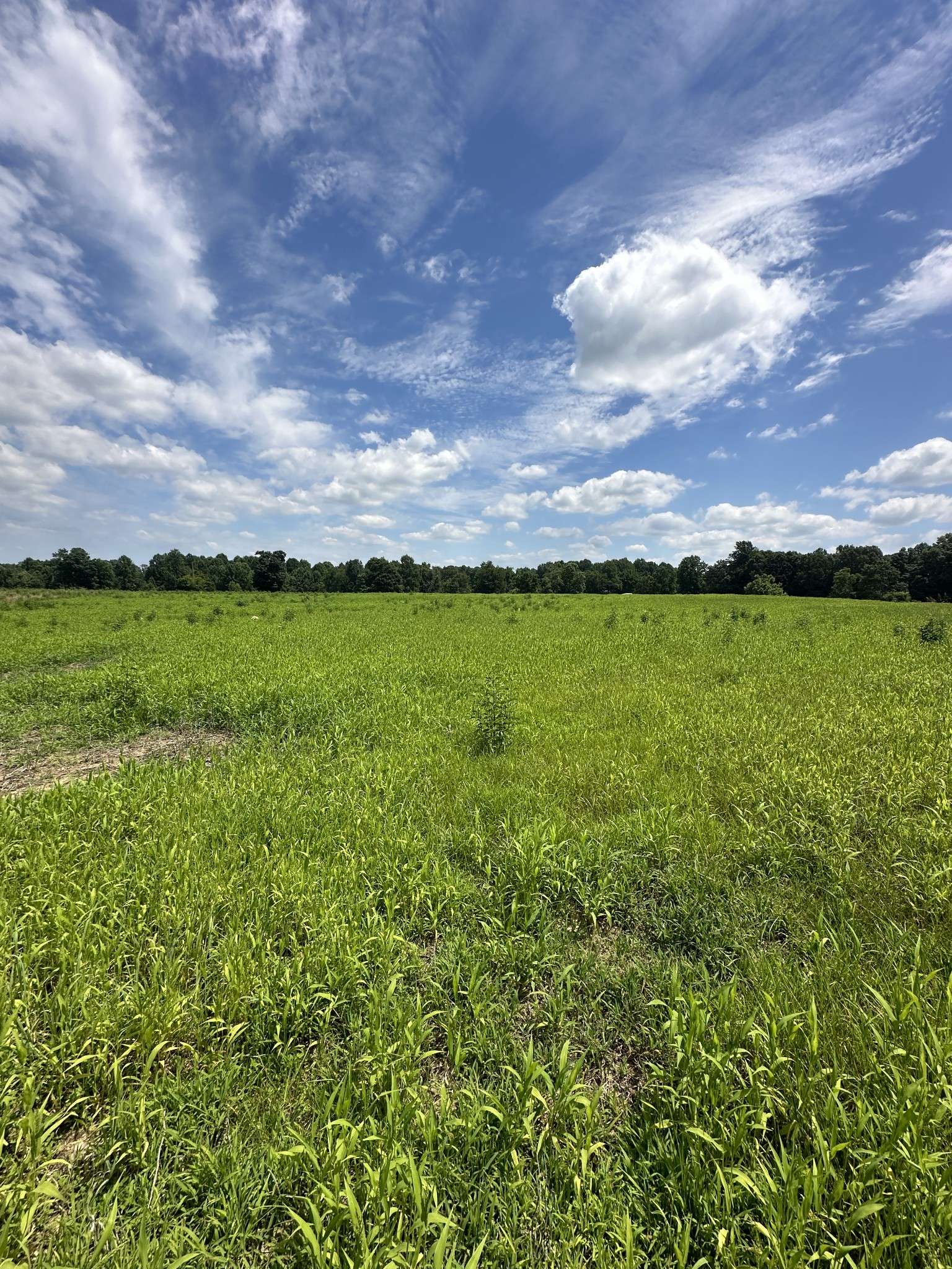 0 Womack Road, Portland, TN 37148