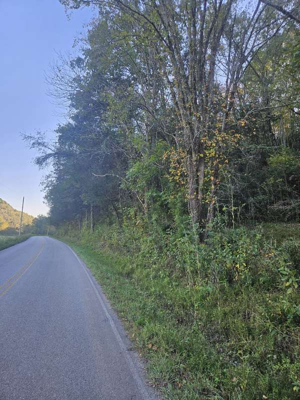 0 Big Creek Rd, Pleasant Shade, TN 37145