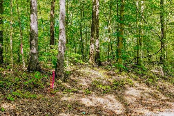 0 Bolestown Loop Lot 3, Alpine, TN 38543