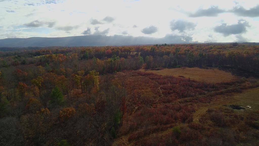 0 Dale Clingham Road, Crossville, TN 38572