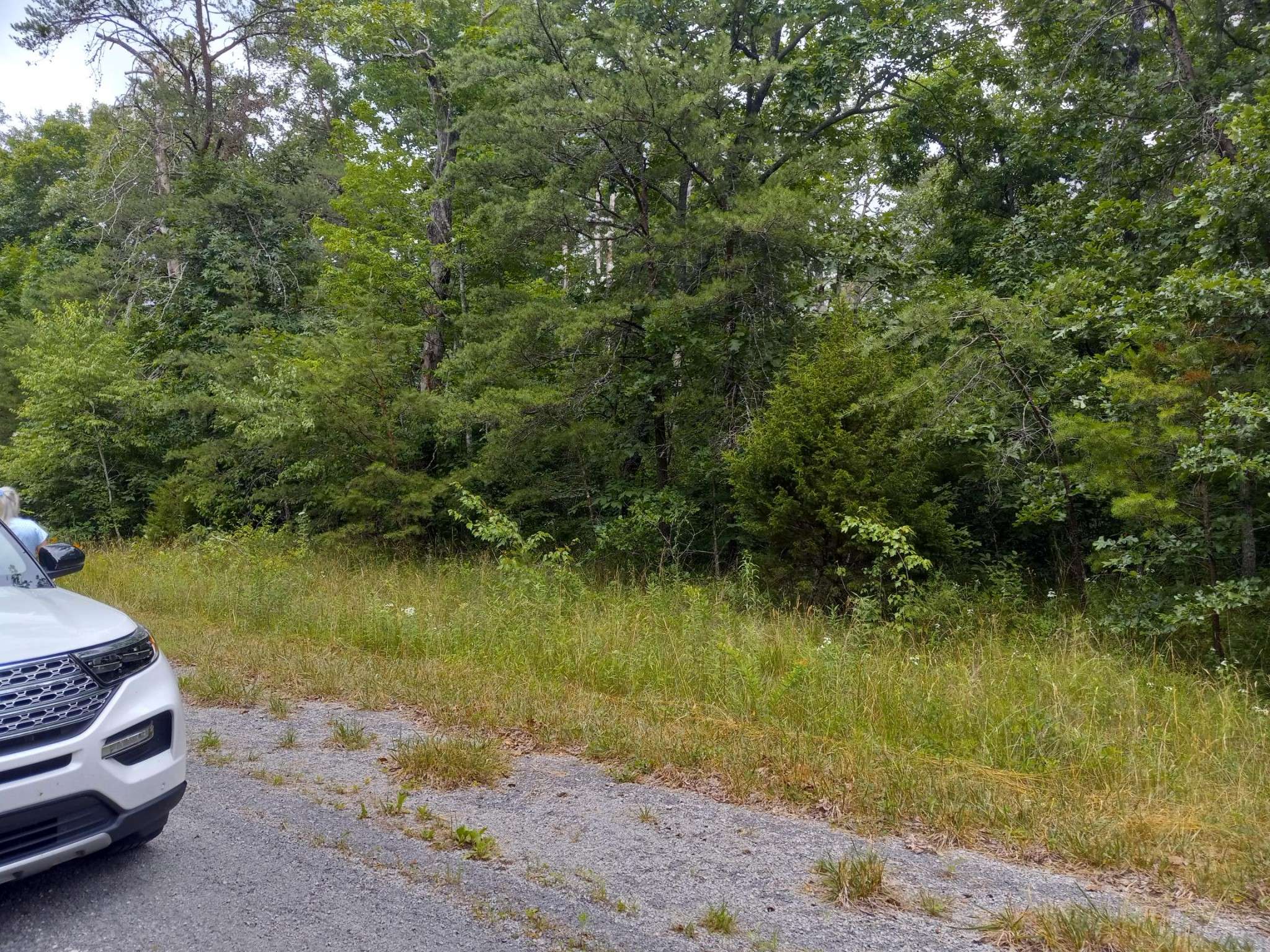 Crossville, TN 38572,1163 Chanute Trail