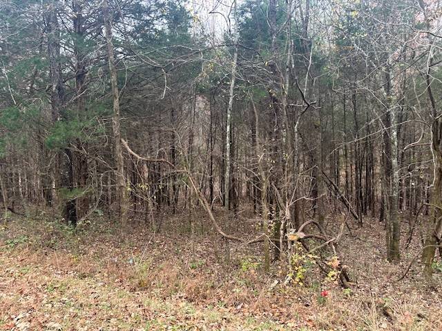 Southside, TN 37171,0 Ryes Chapel Rd