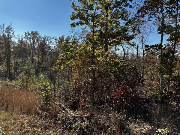 49 Ridge Top Road, Stewart, TN 37175