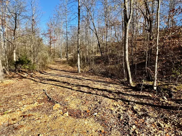 Tennessee Ridge, TN 37178,0 Taylor Circle