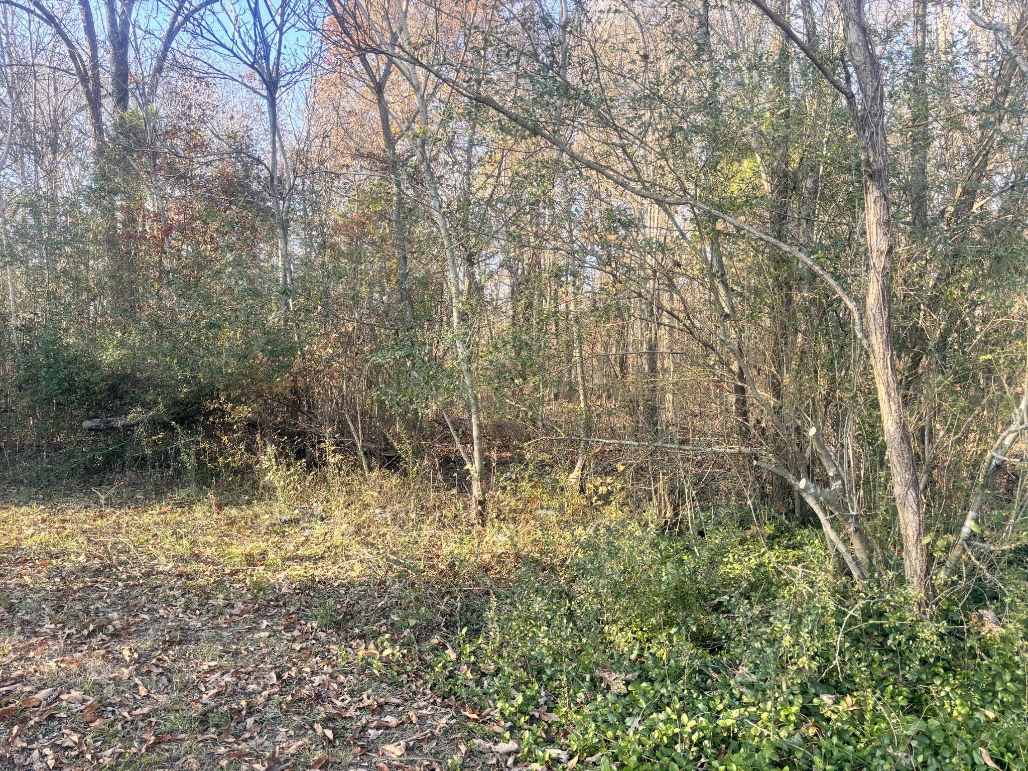 Southside, TN 37171,0 Mount Herman Road