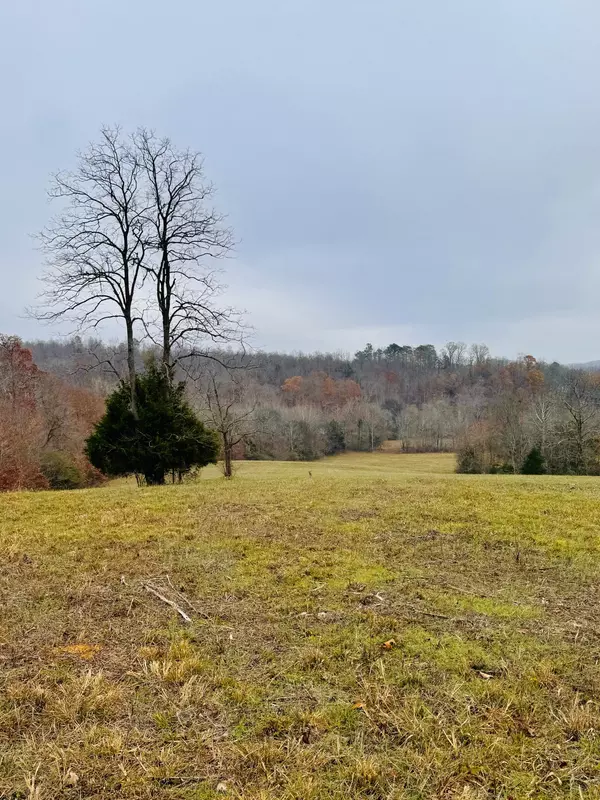 Waverly, TN 37185,0 Matthews Hollow Rd