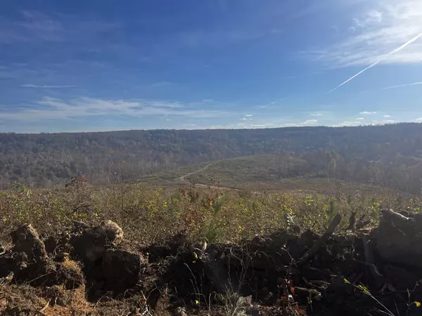 Beersheba Springs, TN 37305,0 Northcutts Cove Road