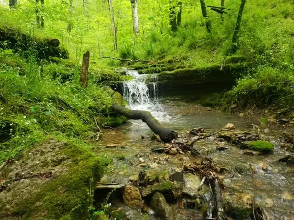 Pleasant Shade, TN 37145,0 Sycamore Valley Rd