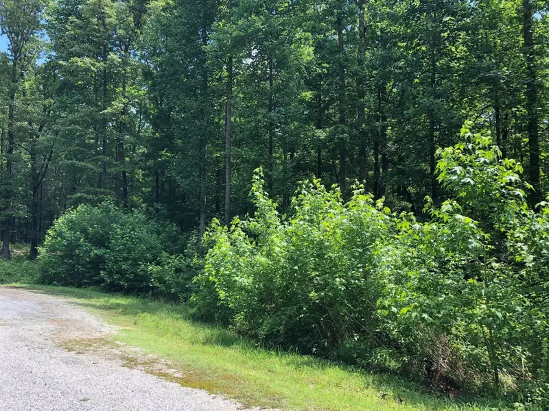 240 War Eagle Dr, Cedar Grove, TN 38321