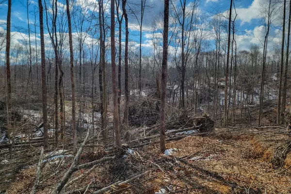 Sparta, TN 38583,0 Hutchings Bend Rd