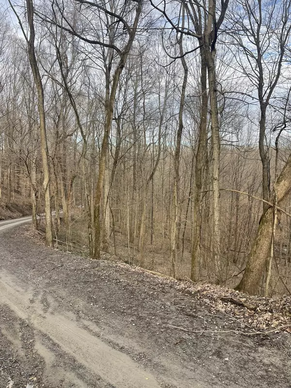 Lafayette, TN 37083,0 Johns Creek RD