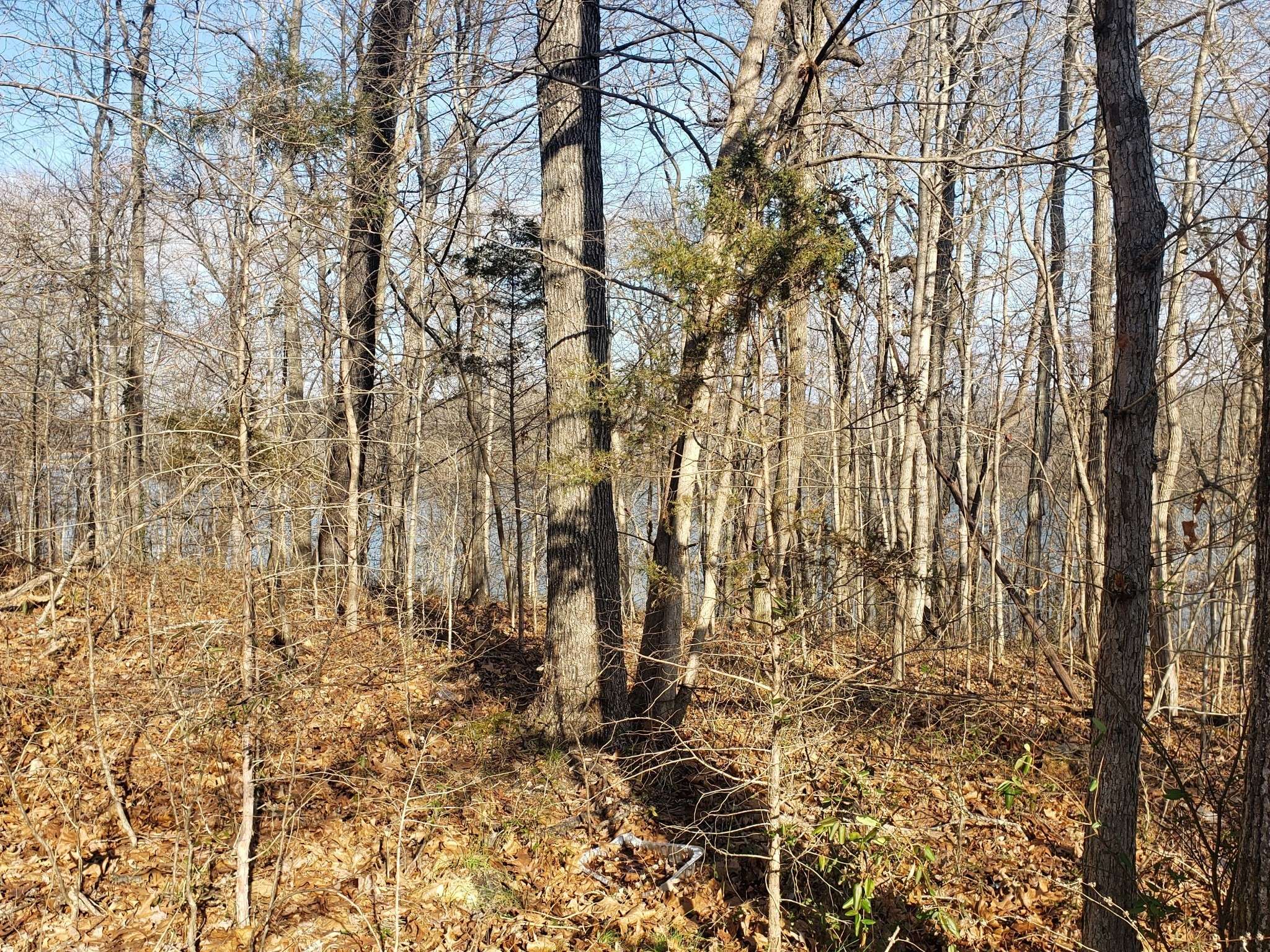 Dover, TN 37058,0 Refuge South Rd