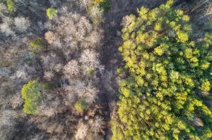 Flat Rock, AL 35966,3607 County Road 792