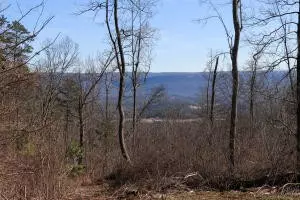 Flat Rock, AL 35966,3607 County Road 792
