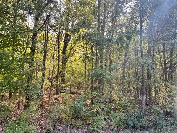 Bumpus Mills, TN 37028,0 Bayview Dr Lot 160&161