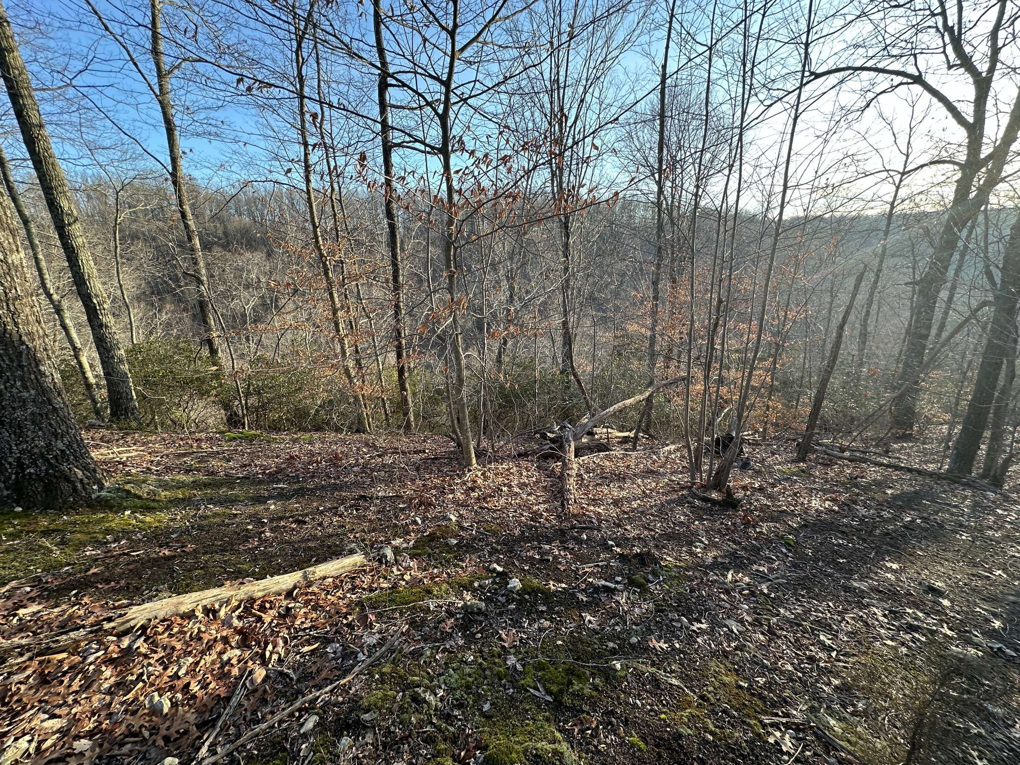 Gainesboro, TN 38562,0 West Lane