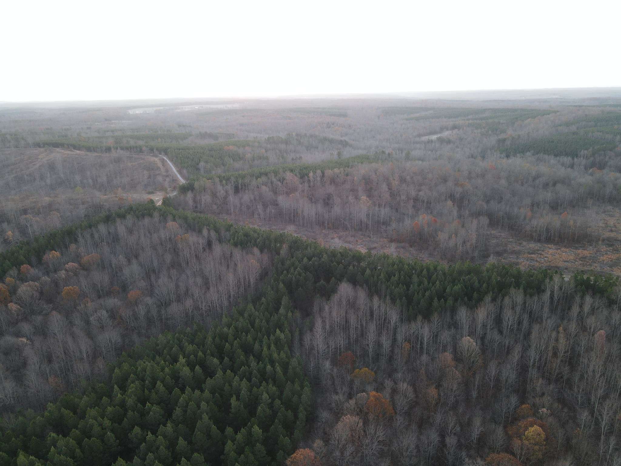 Stewart, TN 37175,0 Hurricane Creek Road