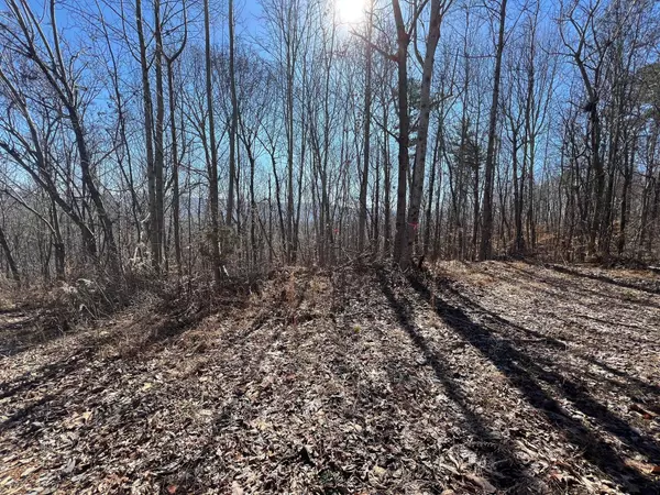 Dunlap, TN 37327,0 Jericho Road