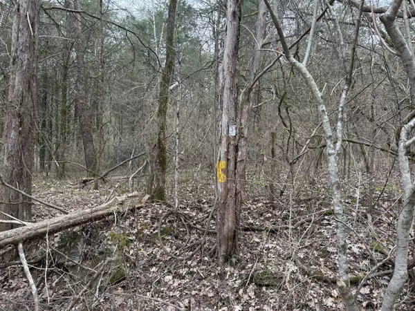 Gainesboro, TN 38562,0 Cook Ln