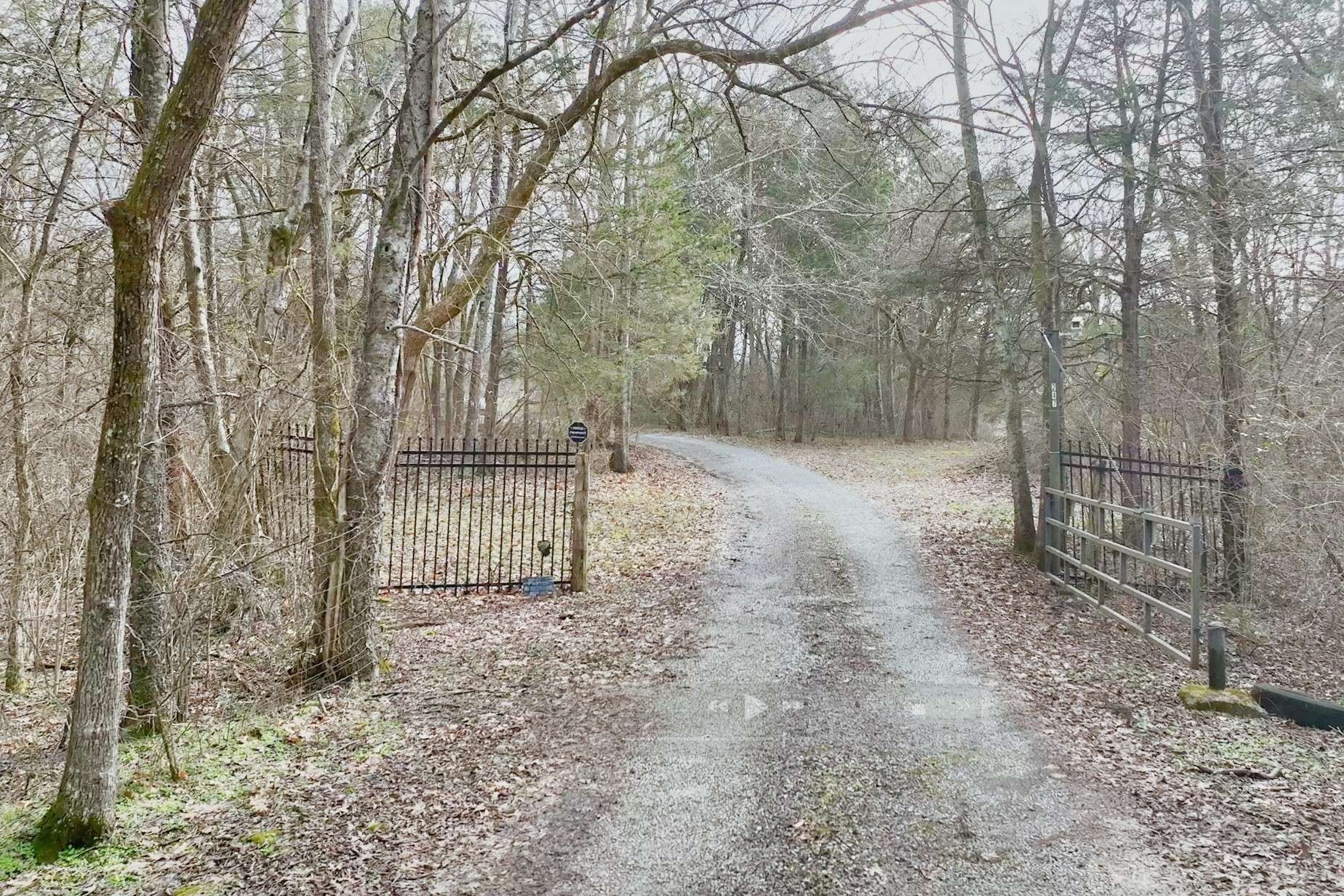 247 Carter Ln, Castalian Springs, TN 37031