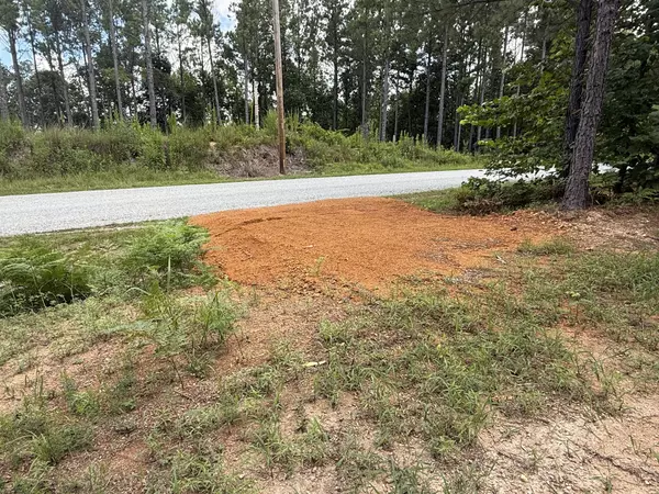 Linden, TN 37096,0 HURRICANE CREEK RD