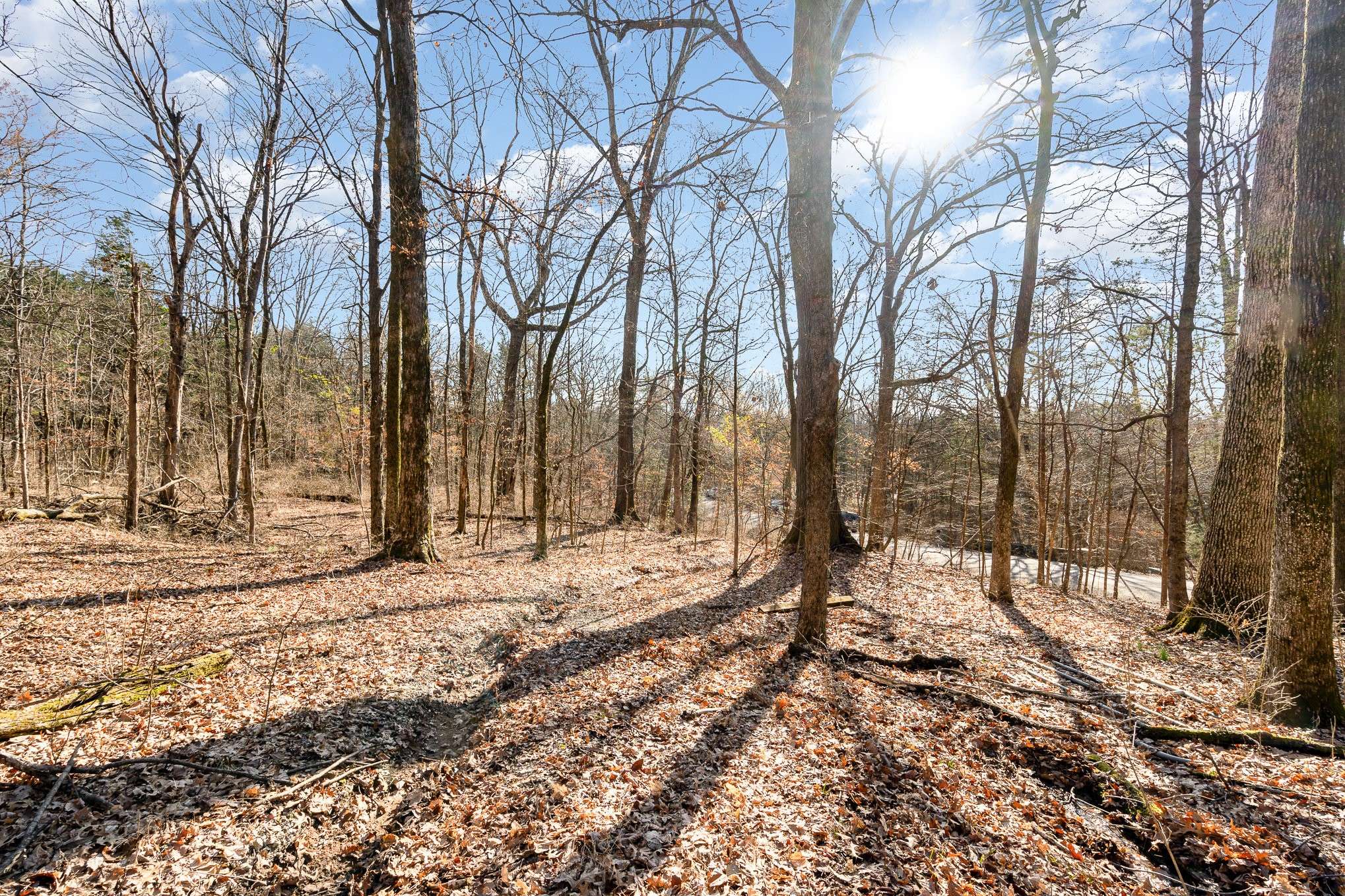Franklin, TN 37069,1009 Scramblers Knob