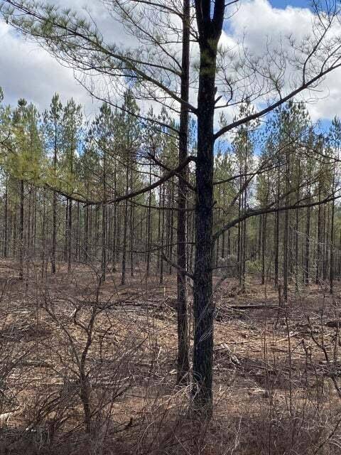Crossville, TN 38572,7 Thomas Springs Road
