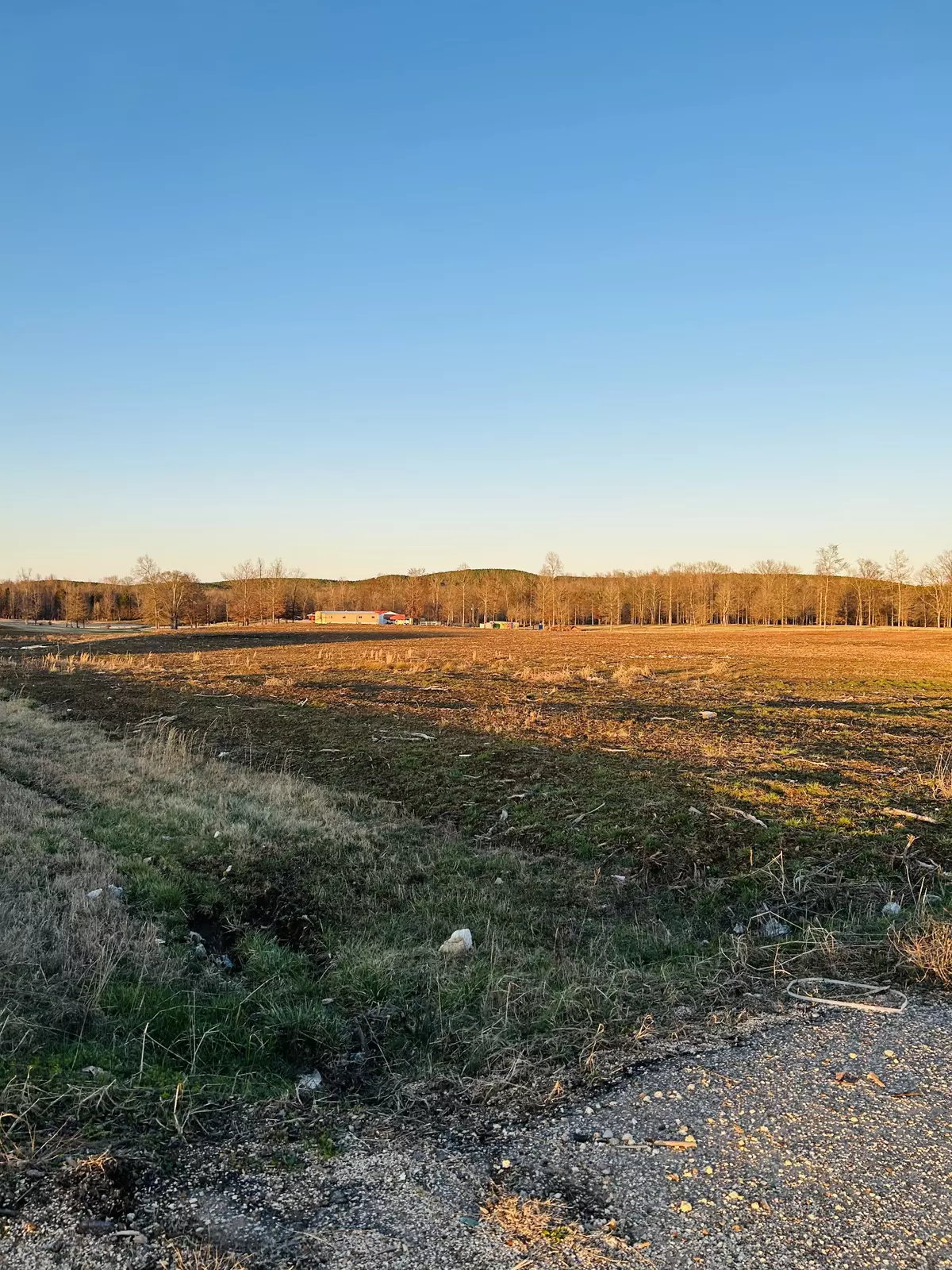 Savannah, TN 38372,2870 Highway 226