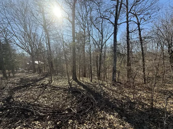 Indian Mound, TN 37079,34 Backwoods Estates