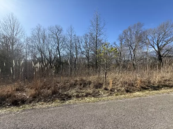 Indian Mound, TN 37079,34 Backwoods Estates